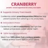 Member's Mark Clinical Strength Cranberry Capsules, 500 mg, 150 ct. - Image 3