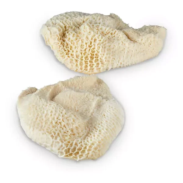 Member’s Mark Beef Honeycomb Tripe, Cryovac, priced per pound - Imagen 2